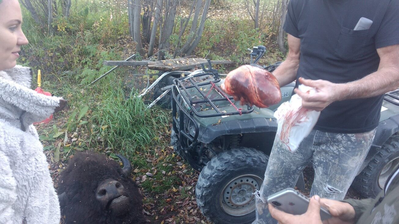 Rencontre improbable avec un chasseur de bison