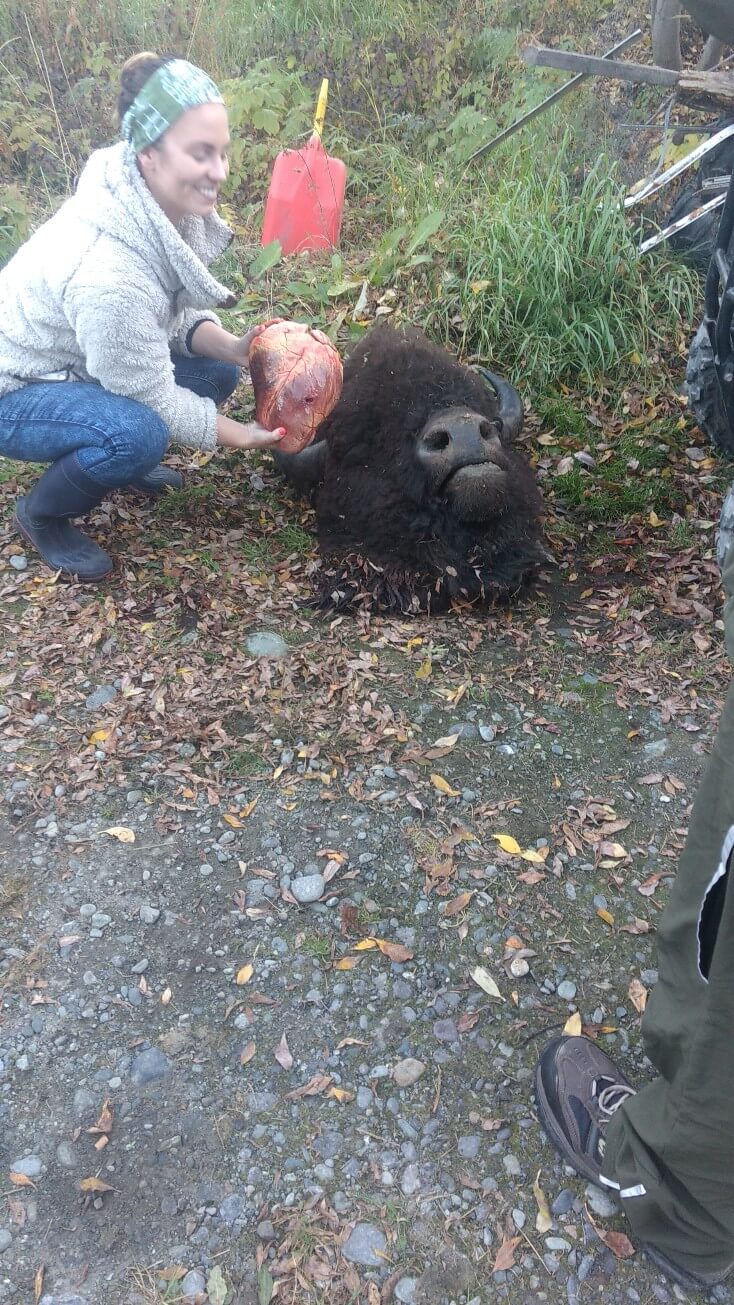 Rencontre improbable avec un chasseur de bison