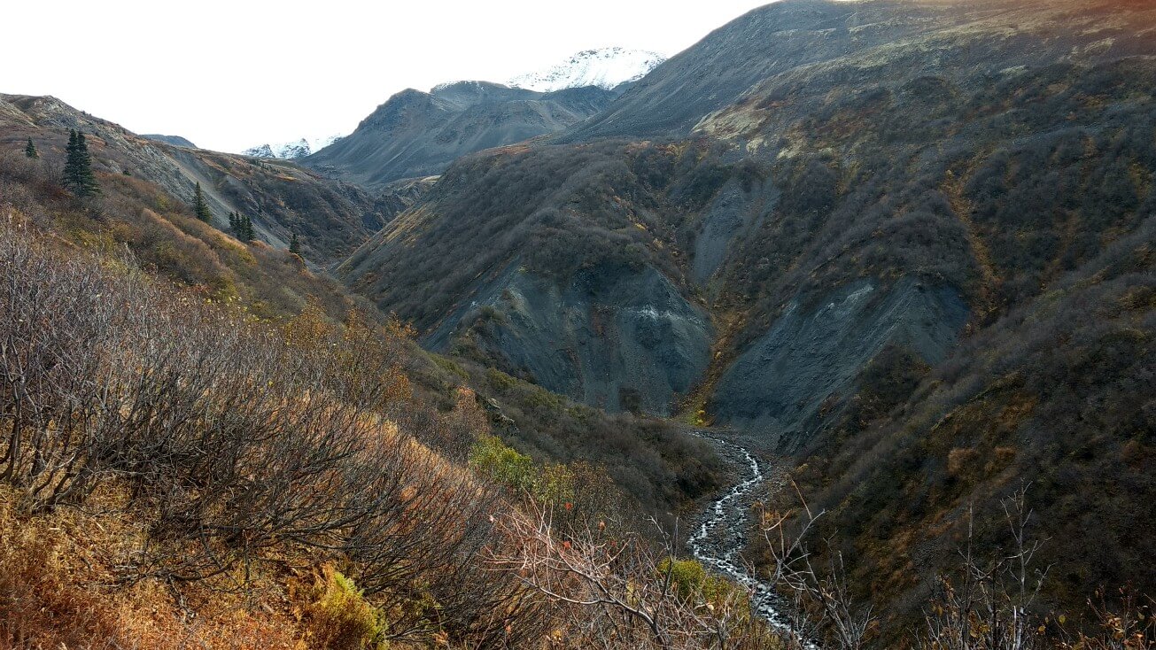 Denali