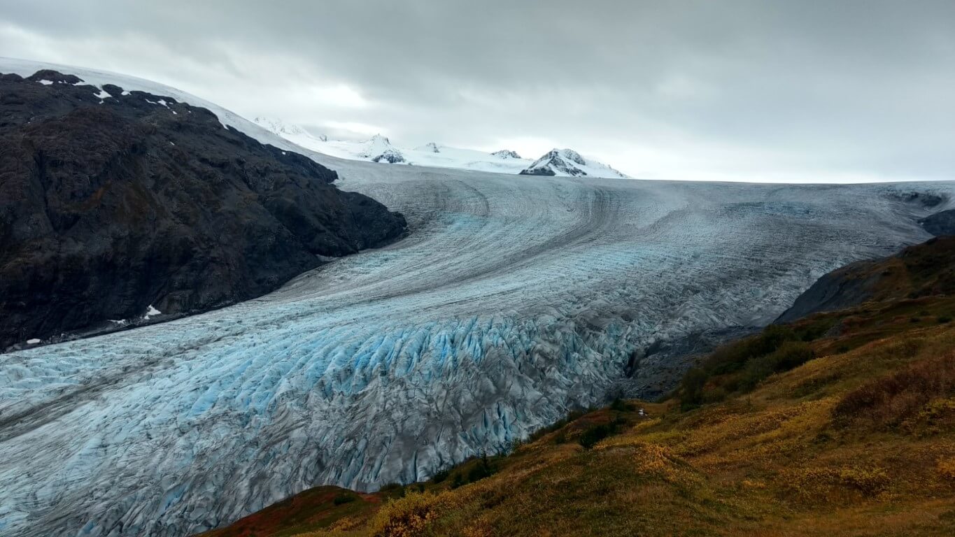 Exit Glacier