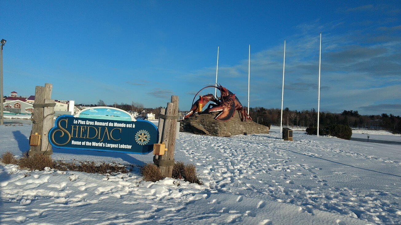 Le homard géant de Shediac