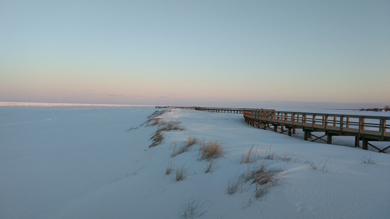 Les dunes de Bouctouche