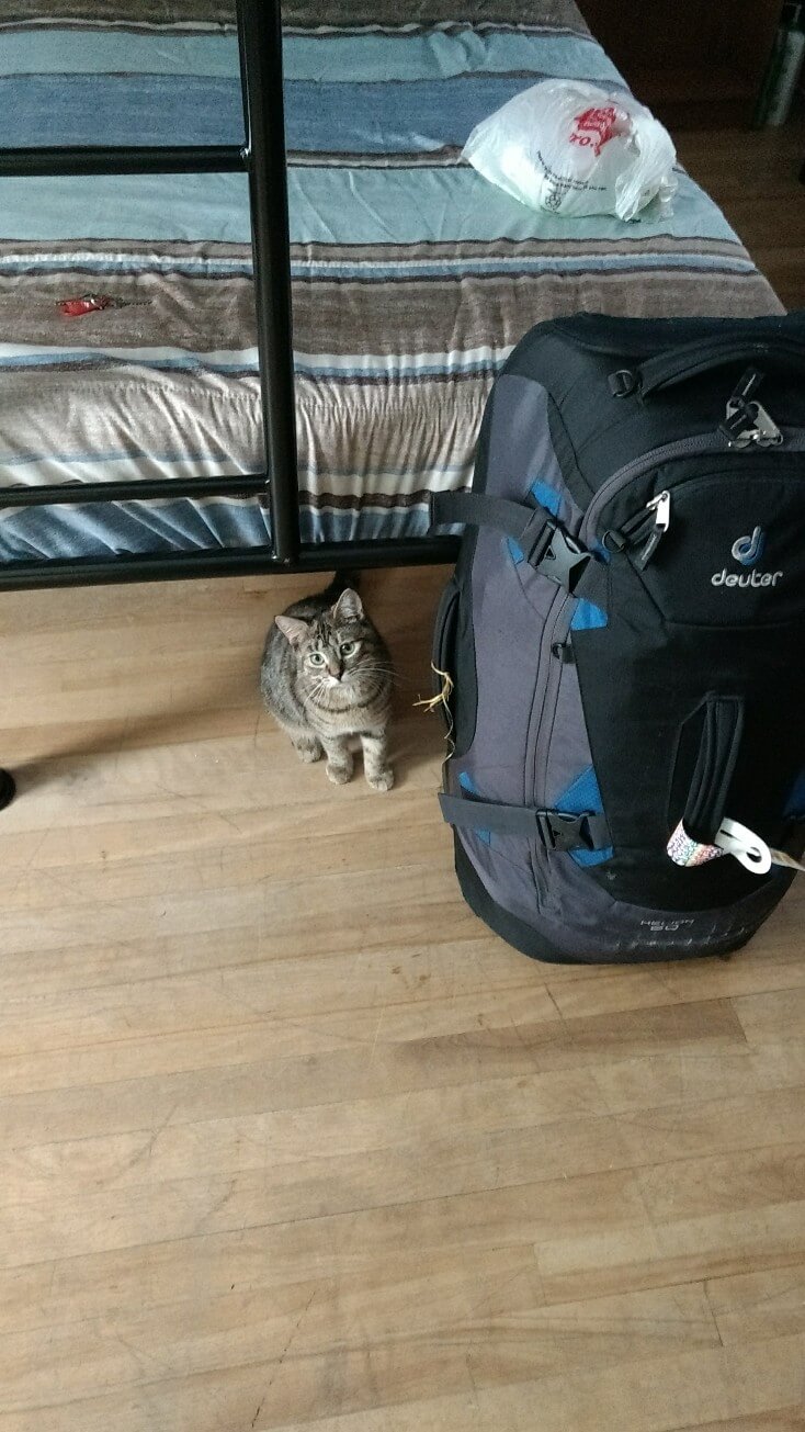 Louise veille sur mon sac