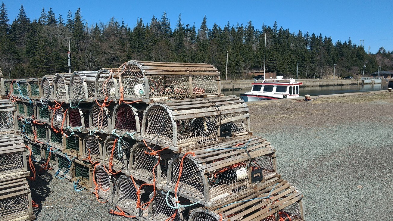 Pêche au crabes
