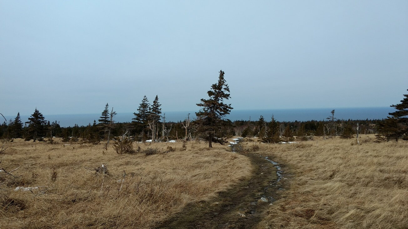 Vue depuis la randonnée Skyline