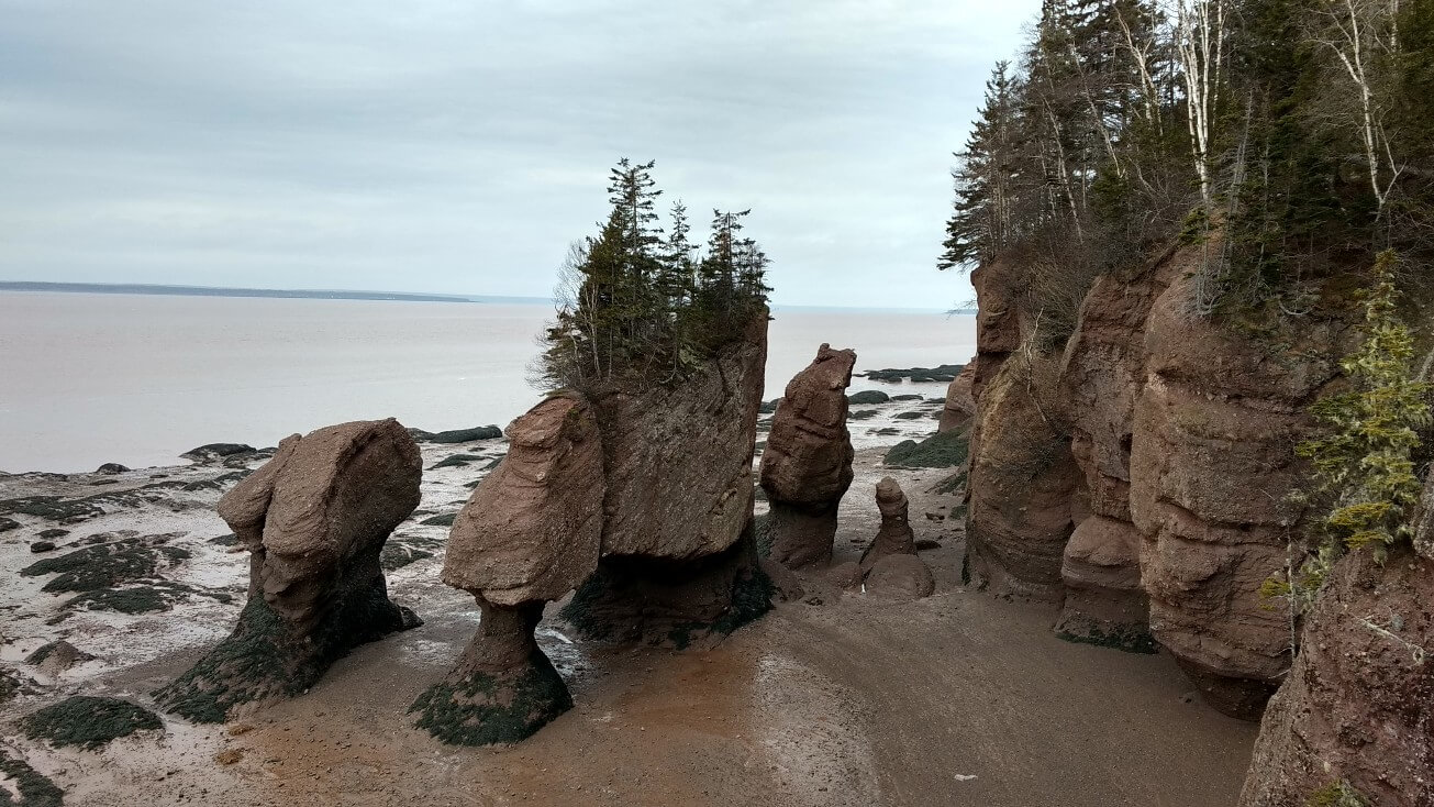 Les fameuses roches d’Hopewell Rocks