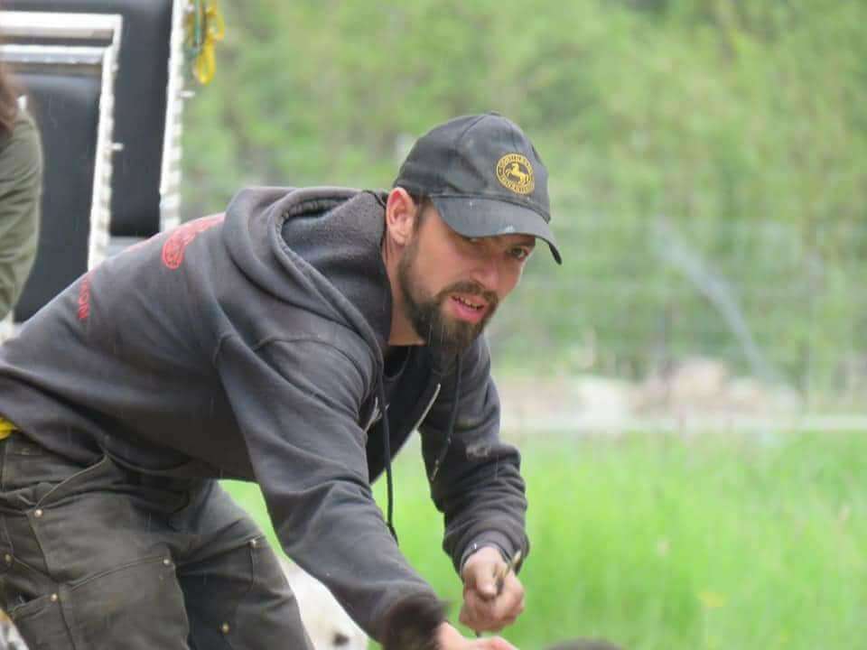 Dans l’action