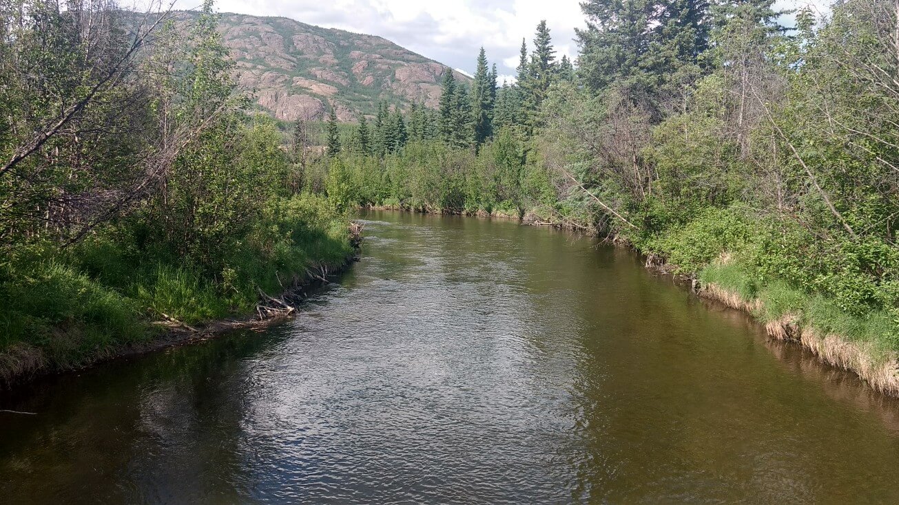 Rivières par où passent les saumons
