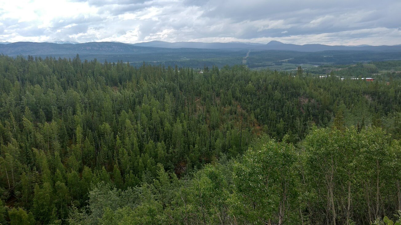 Vue depuis la cascade
