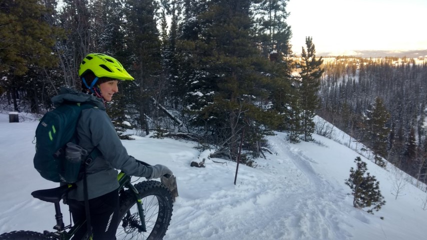 Fat bike