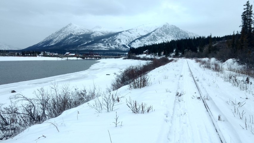 Carcross