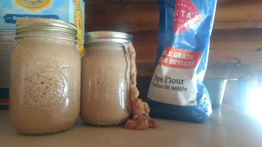 Levain maison