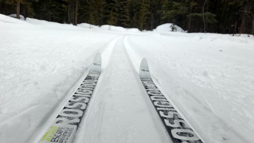 Ski de fond