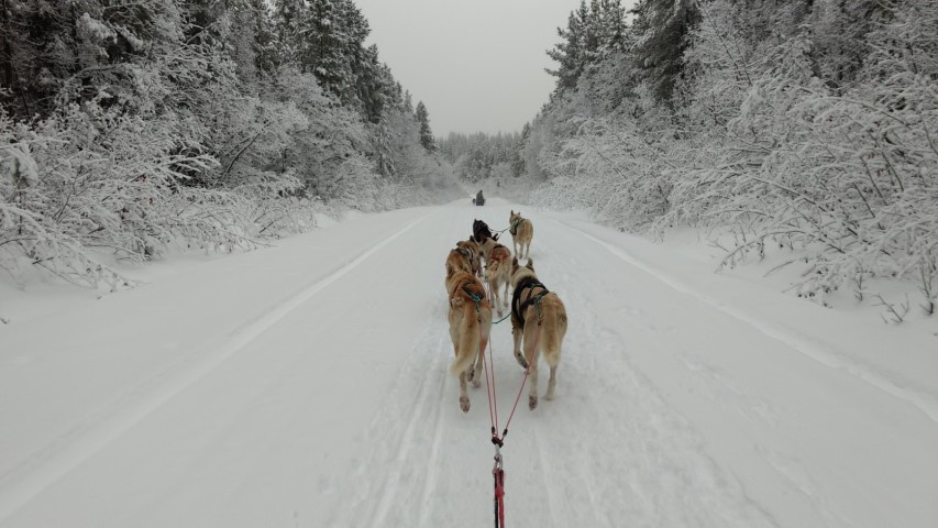 Entrainement de 140km sur la Canol Road