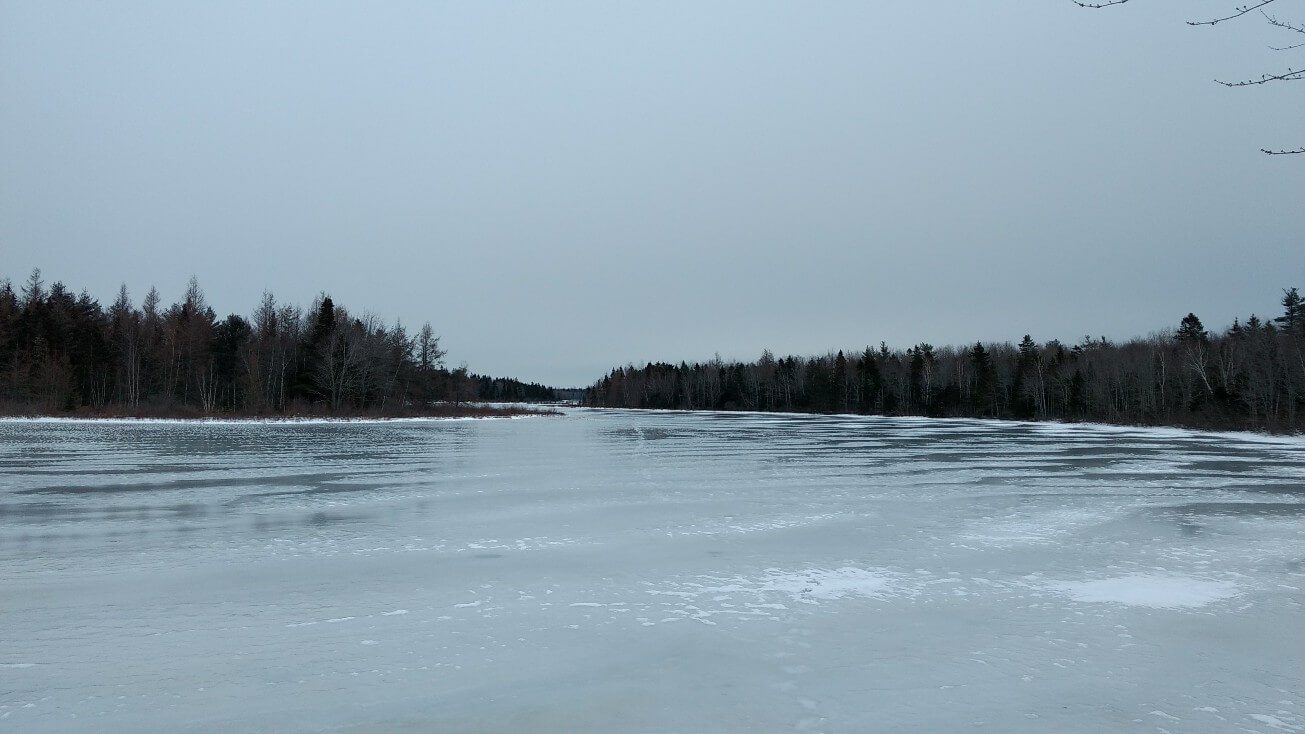 Parc de Irishtown