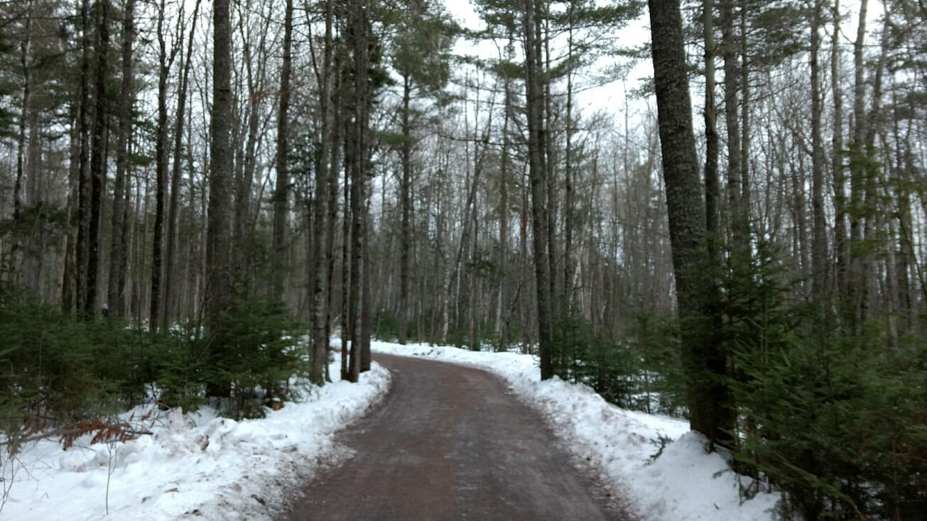 Parc de Irishtown