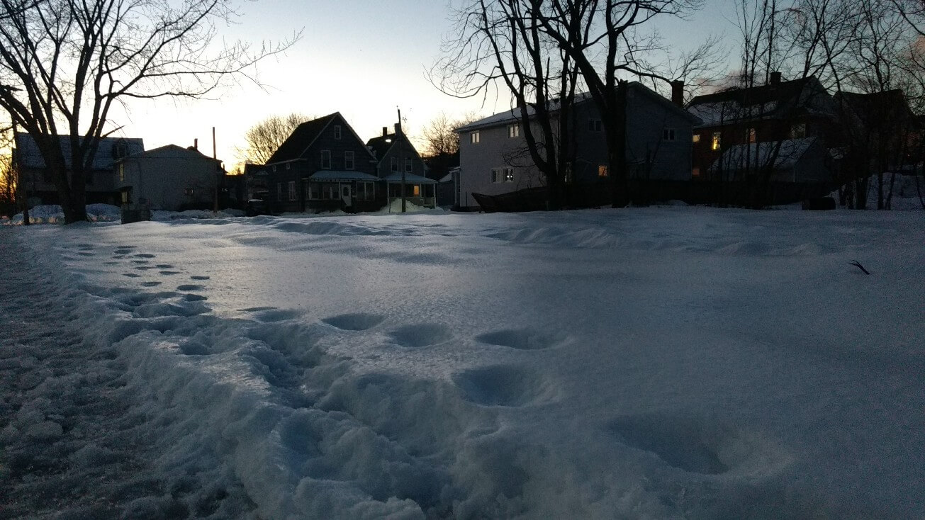 Le froid gèle la neige