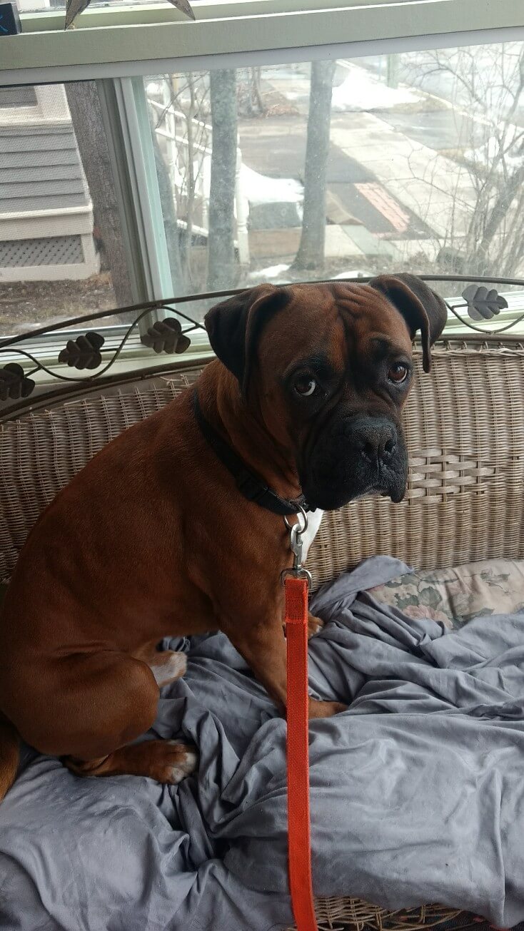 Rosco