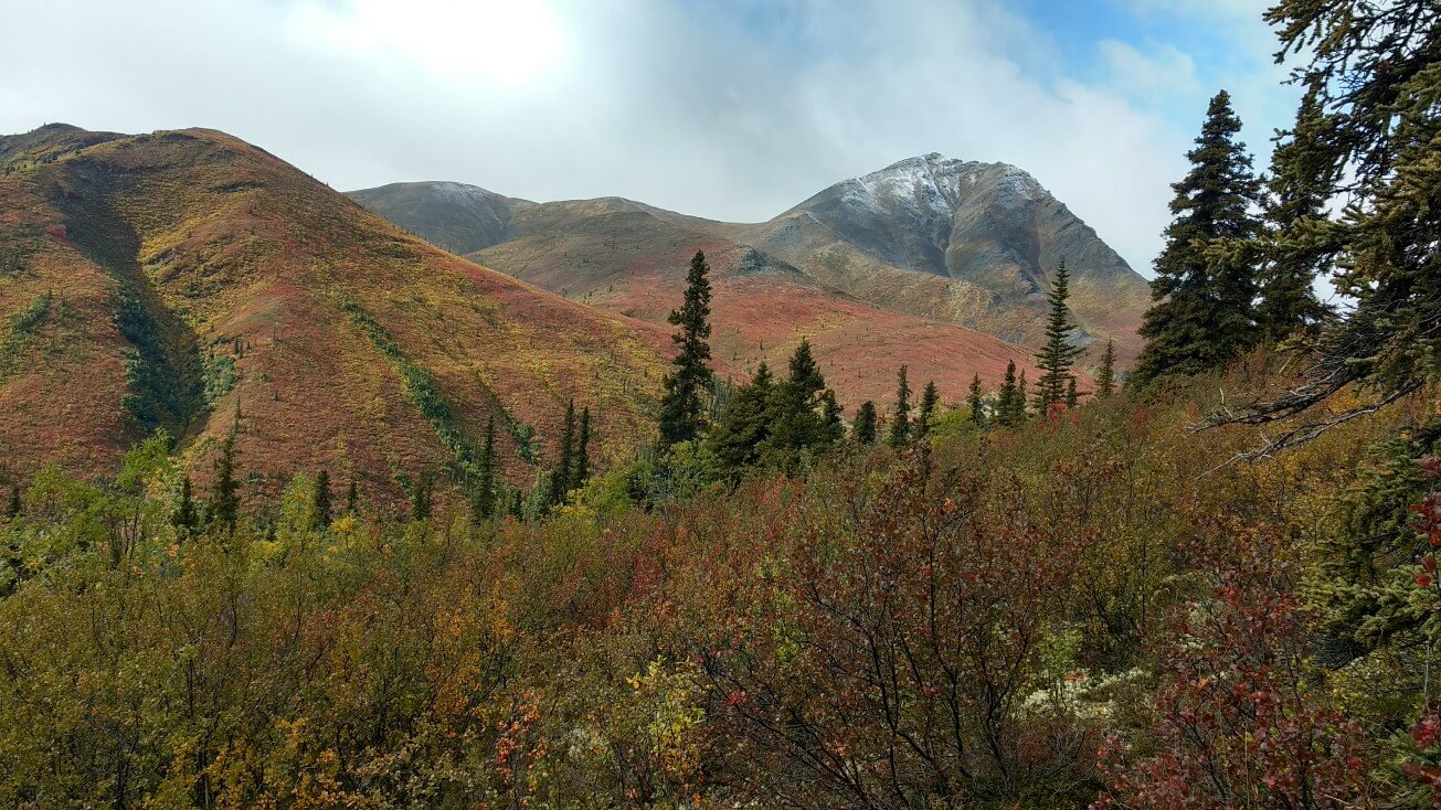 Grizzly Lake trail