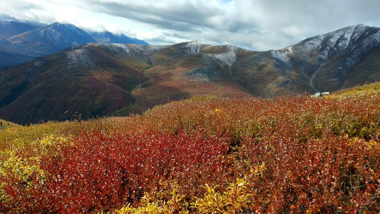 Grizzly Lake trail