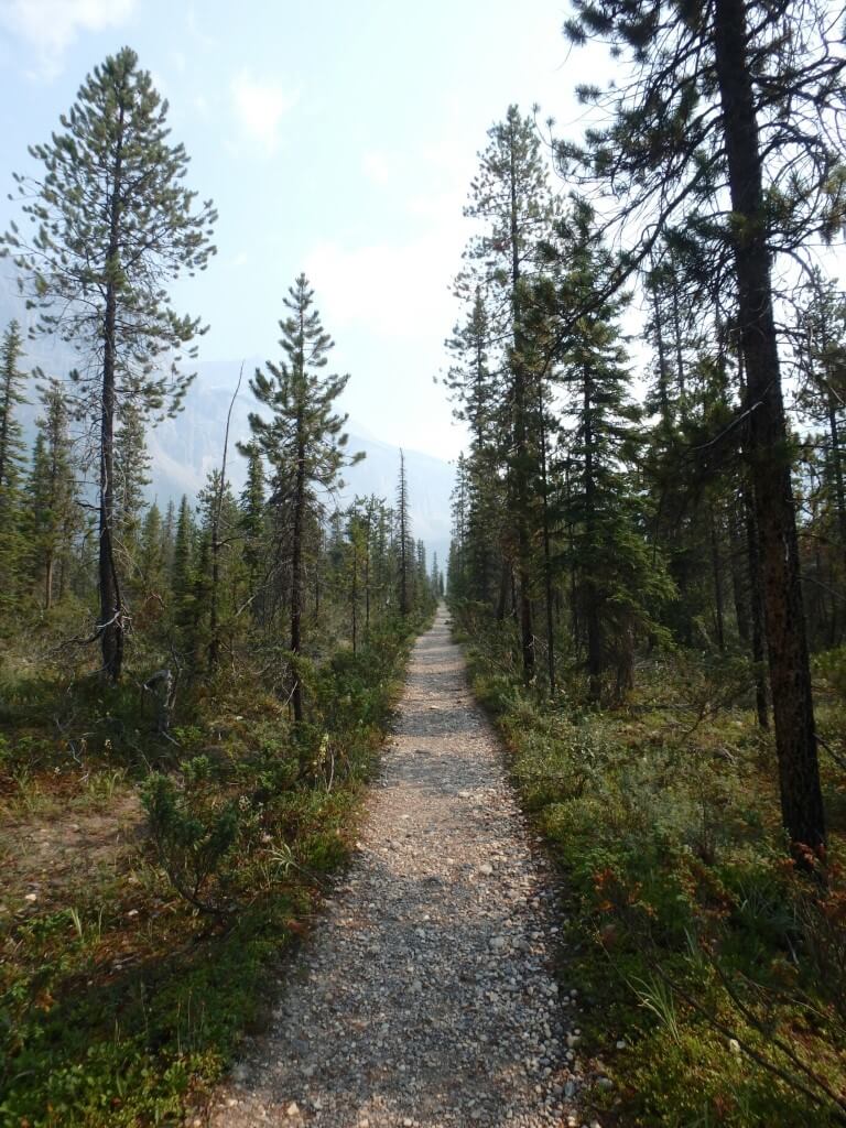 Chemin vers Takakkaw Falls