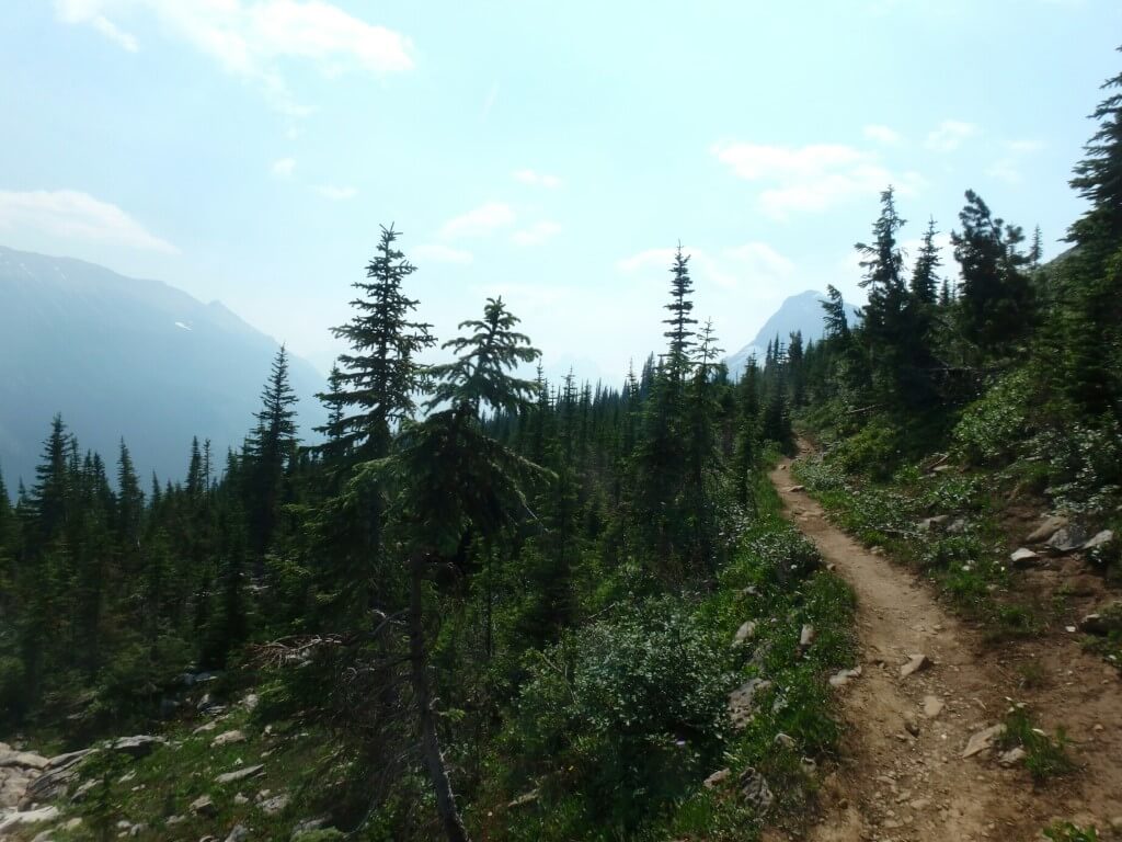 Chemin vers Takakkaw Falls
