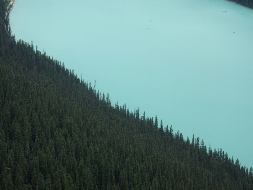 Contraste eau/sapin