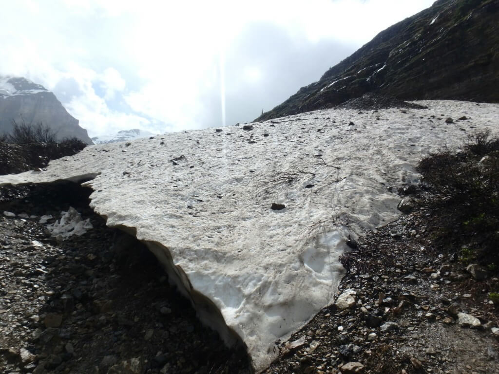 Reste de neige sur le chemin