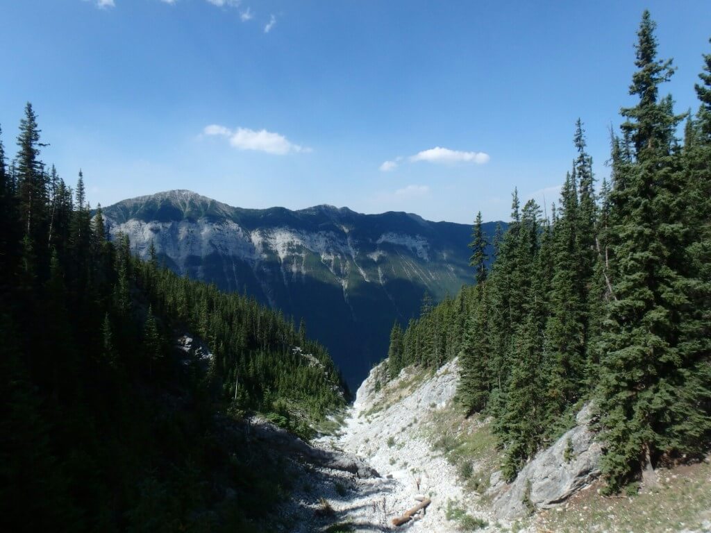 Sur le chemin du Mont Rundle