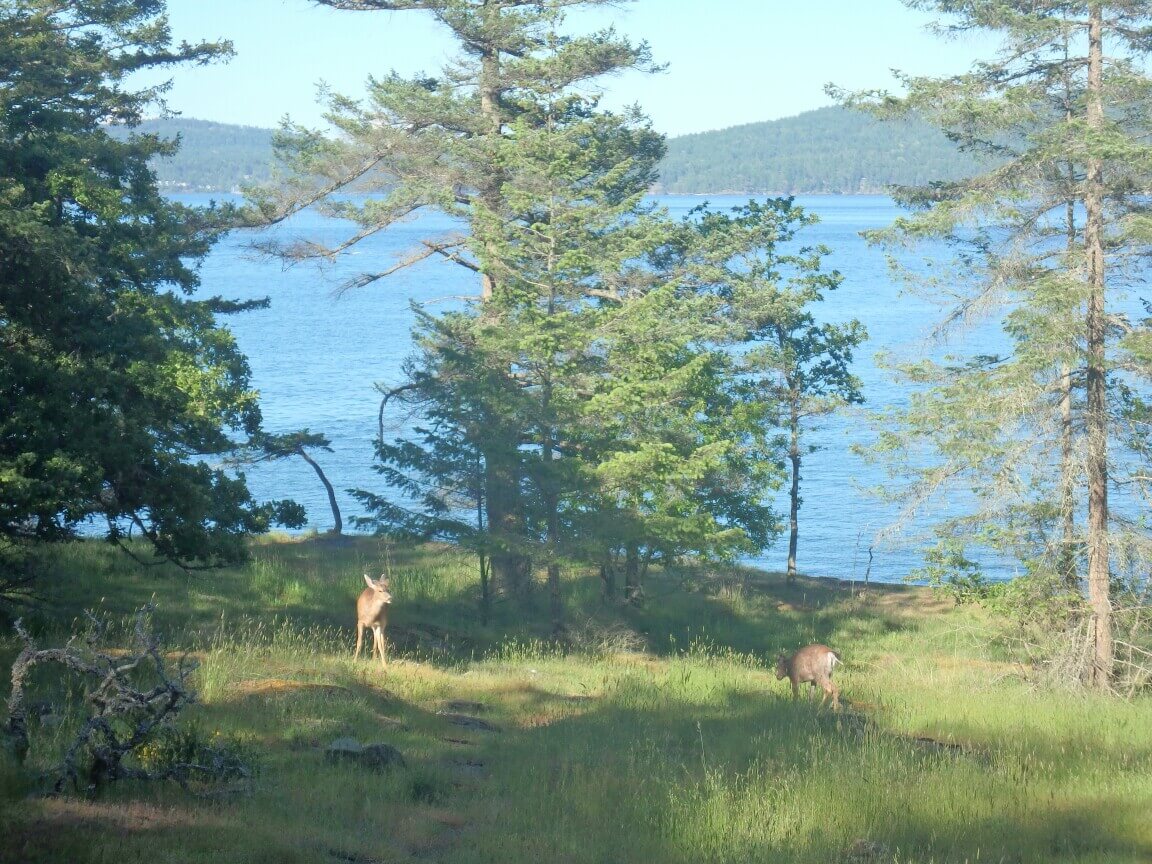 Ruckle Provincial Park