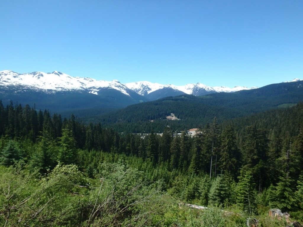 Vue depuis le parcours de buggy