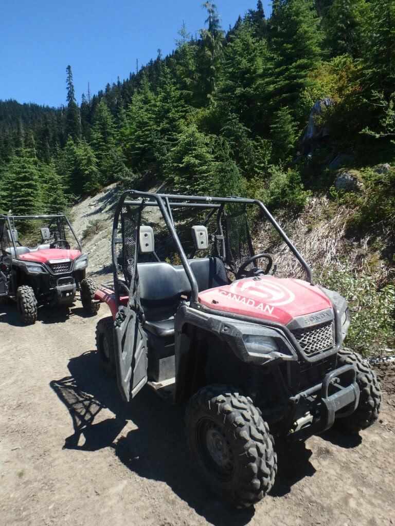 Buggy tour!