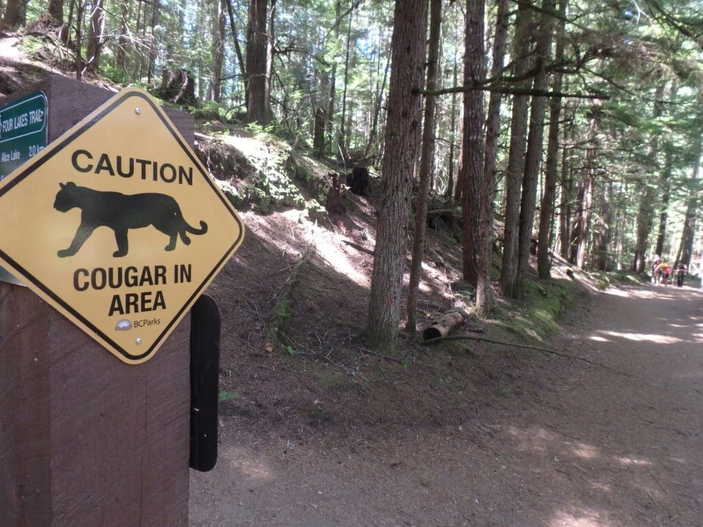 Alice Lake Provincial Park
