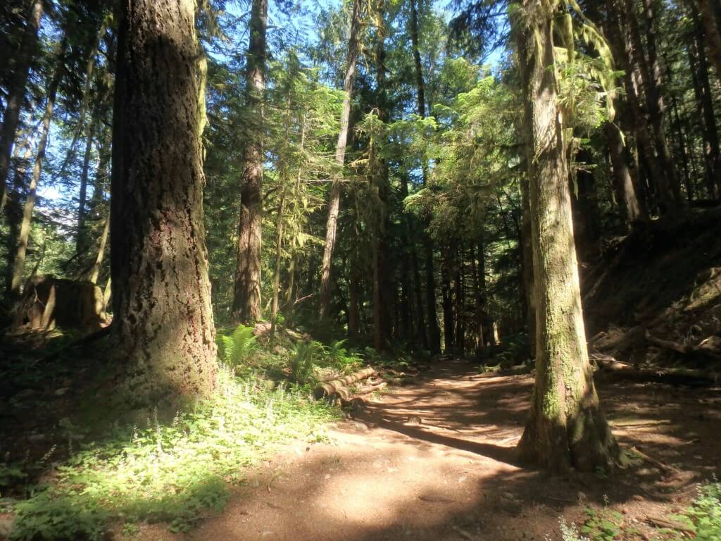 Alice Lake Provincial Park