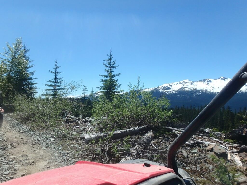 Buggy tour!