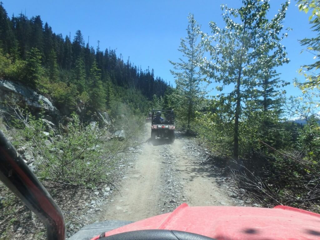Buggy tour!