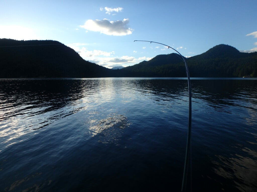 Pêche à 20h