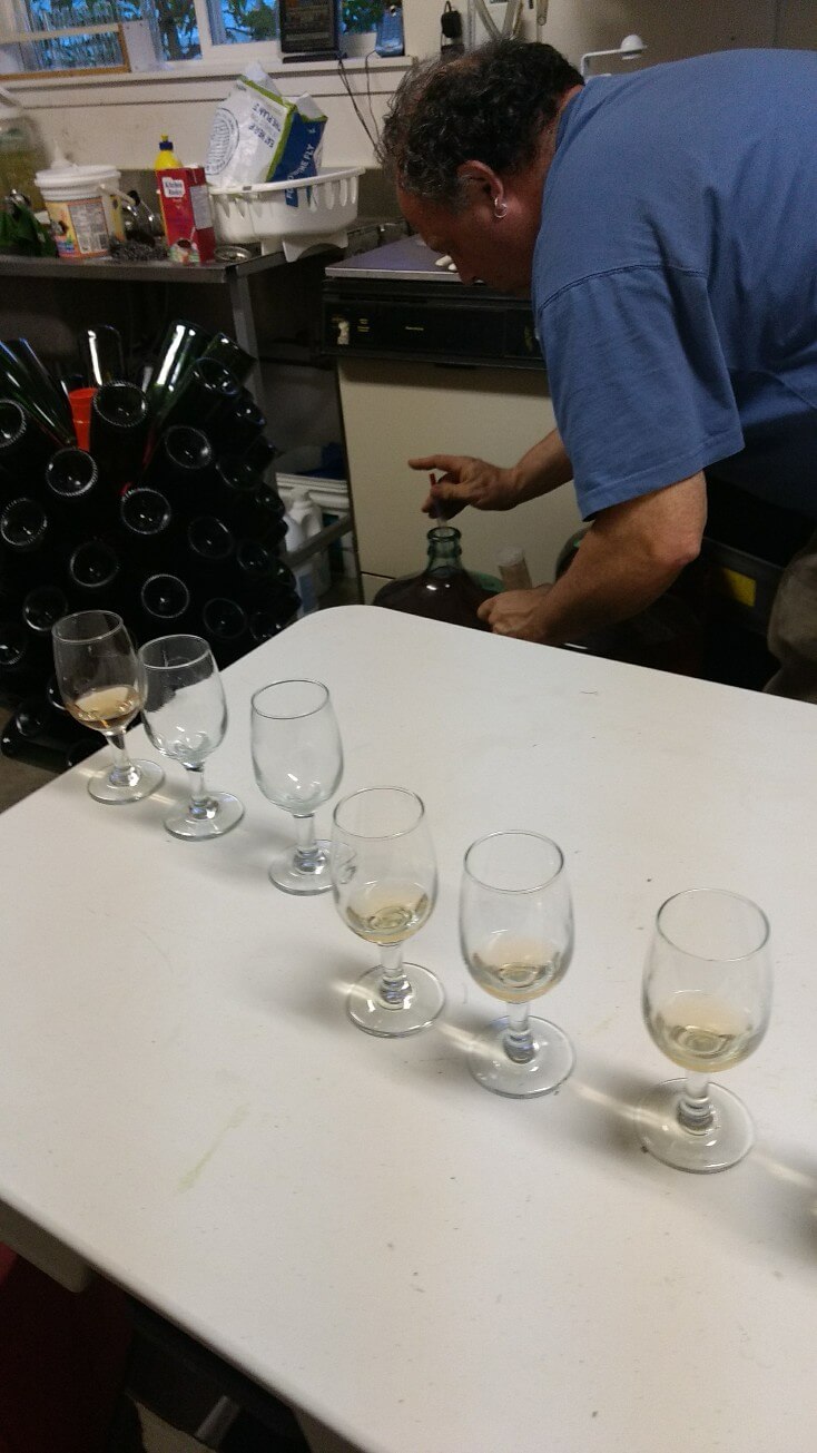 Mise en bouteilles
