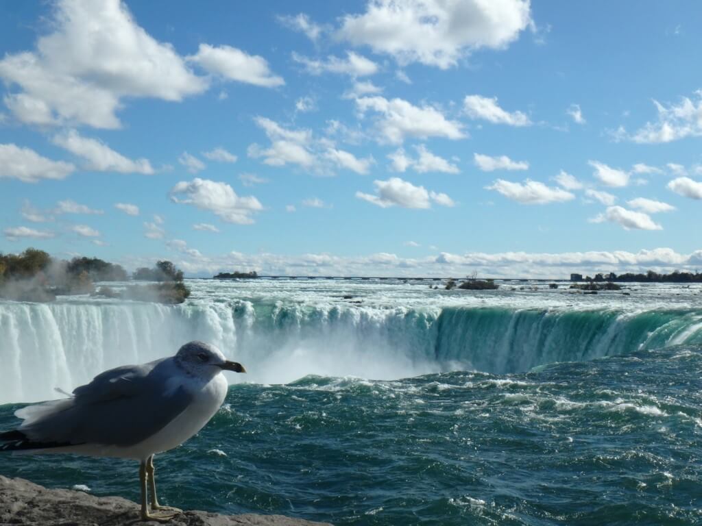Les chutes du Niagara