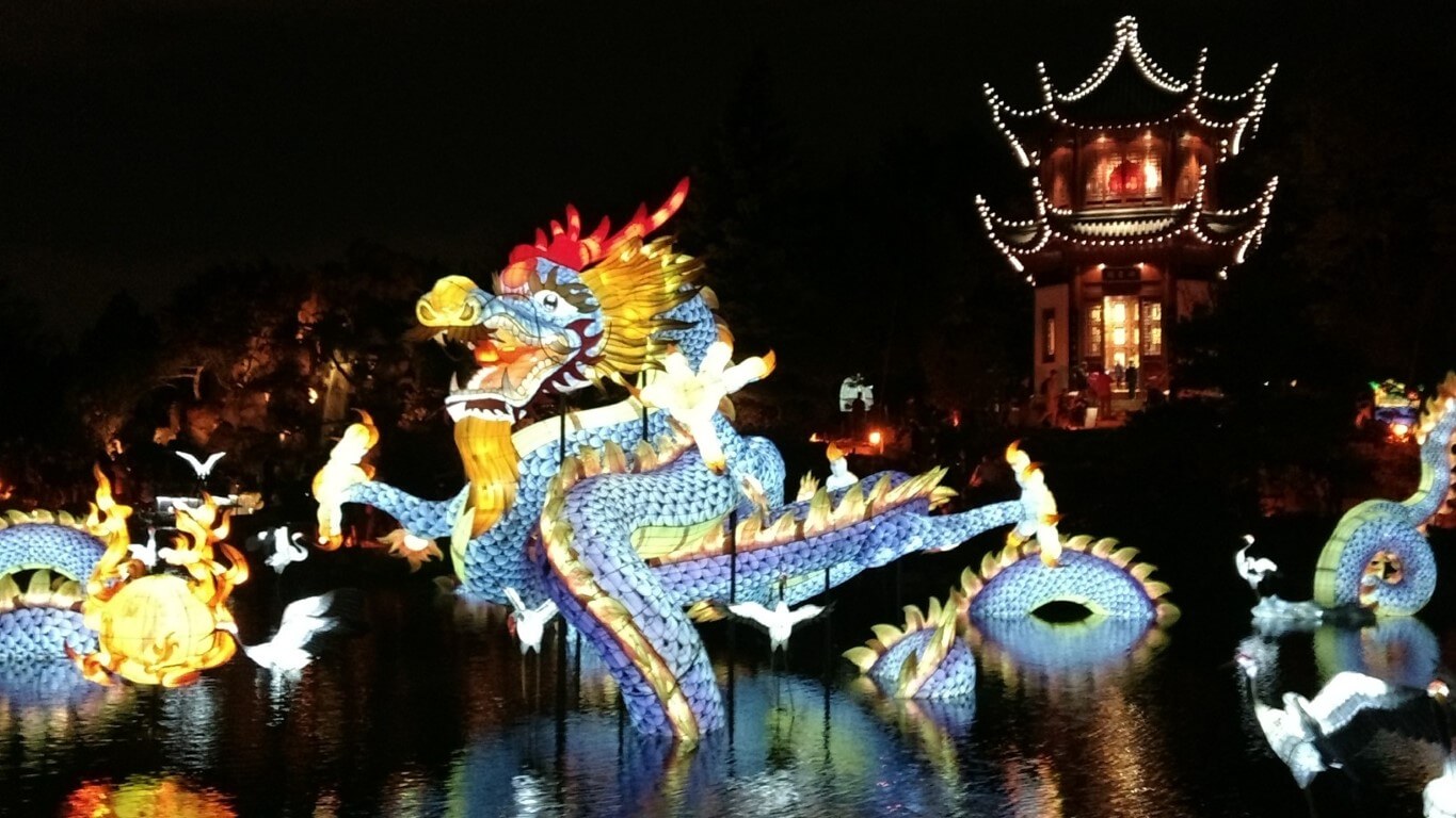 Dragon