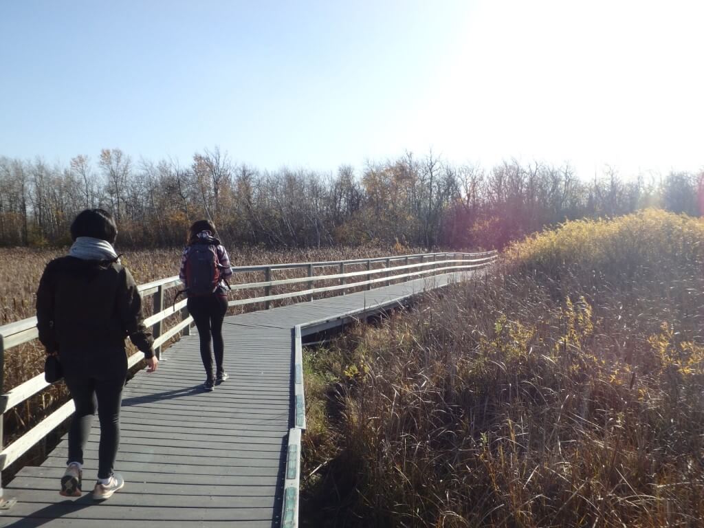 Assiniboine Forest