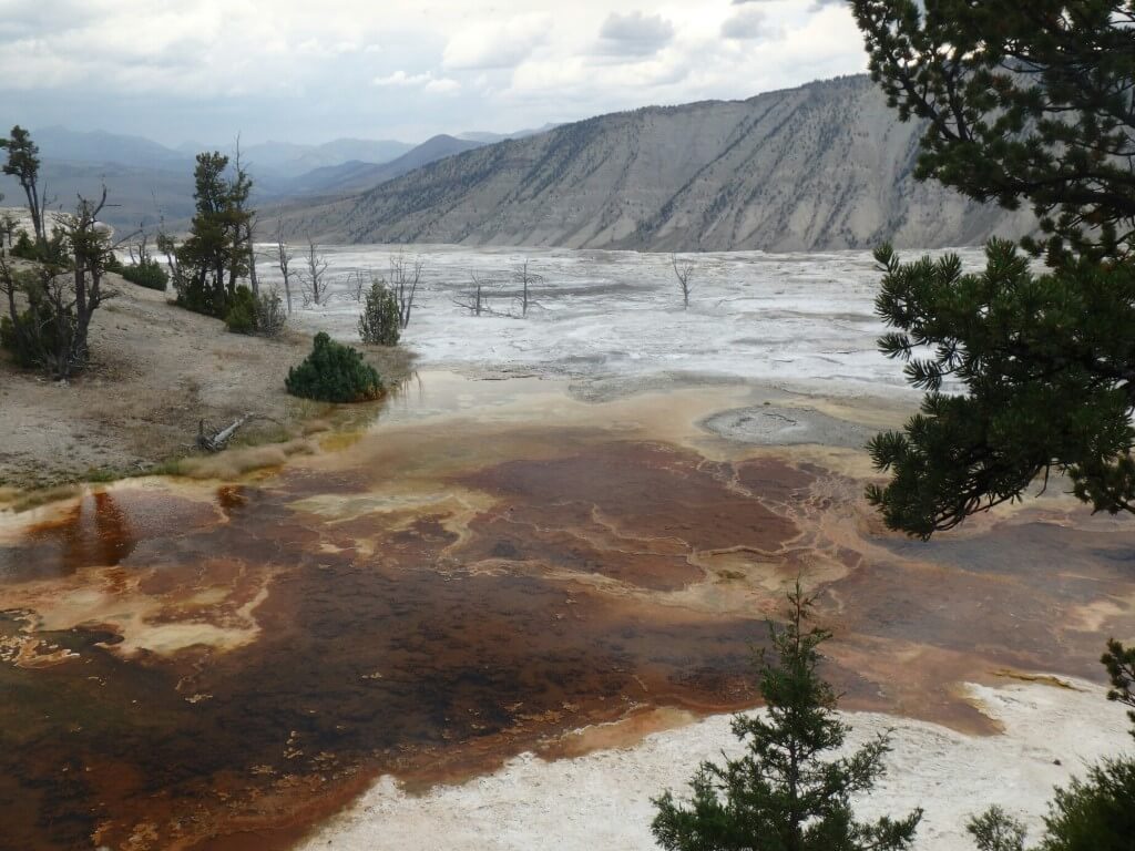 Mammoth Hot Spring