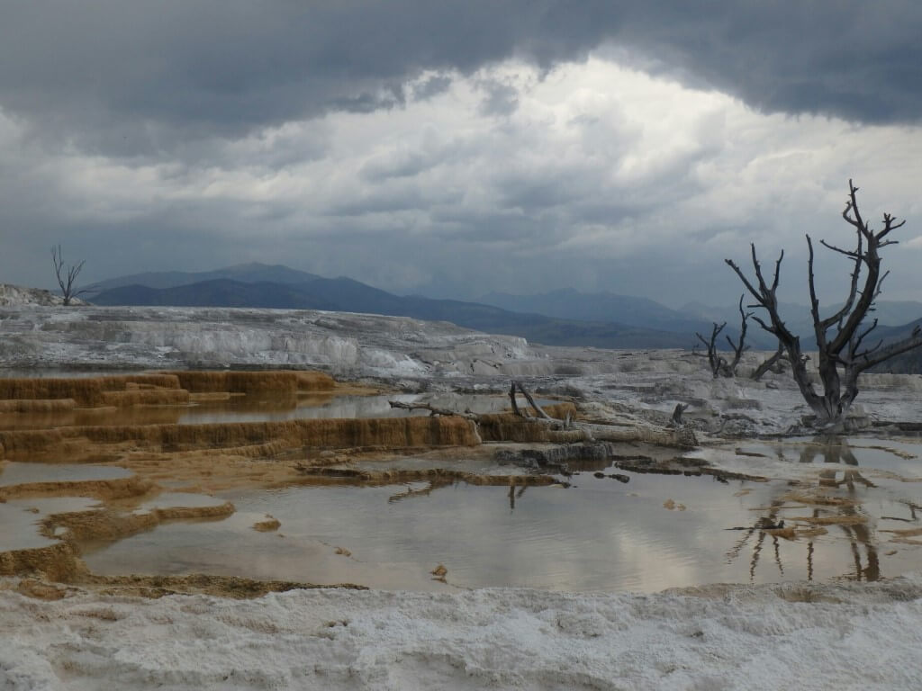 Mammoth Hot Spring