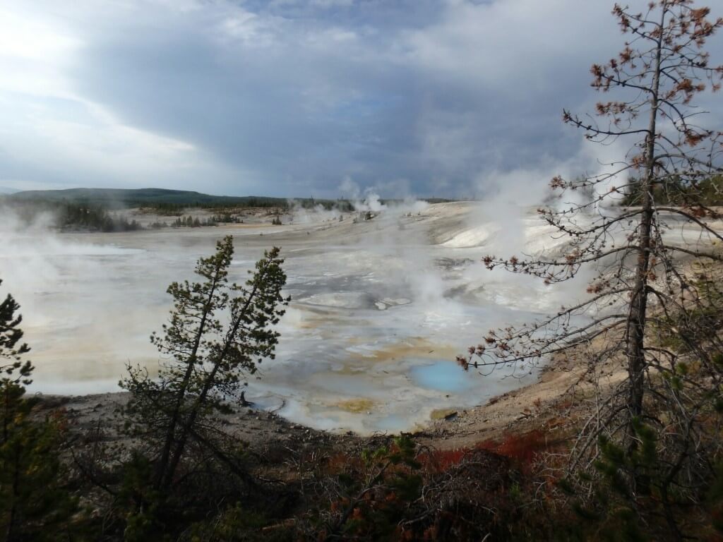 Norris Geyser