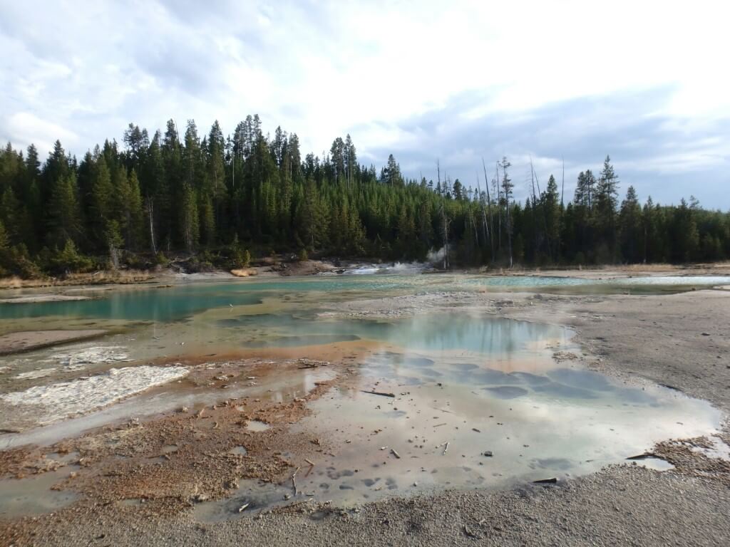 Norris Geyser