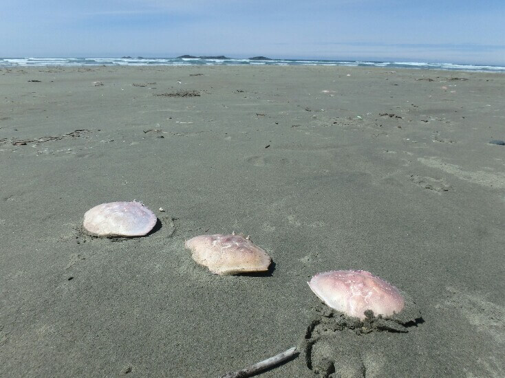 Long beach