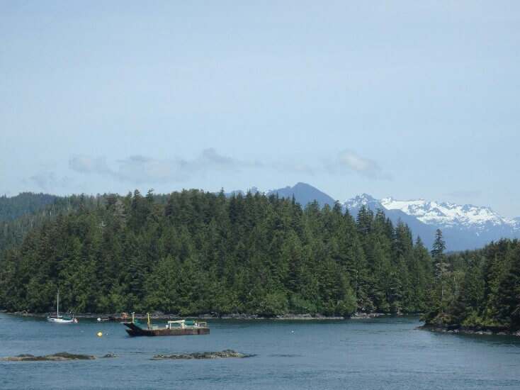 Tofino