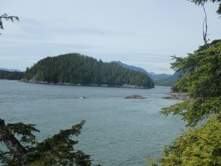 Plage entre Tofino et Ucluelet