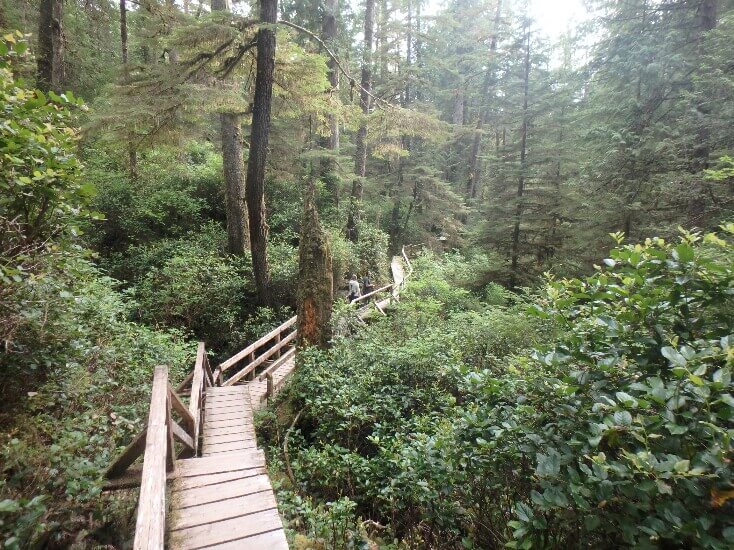 Rainforest Trail, Ucluelet