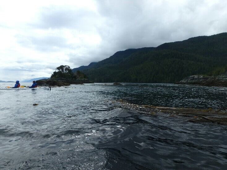 Telegraph Cove – Kayaking